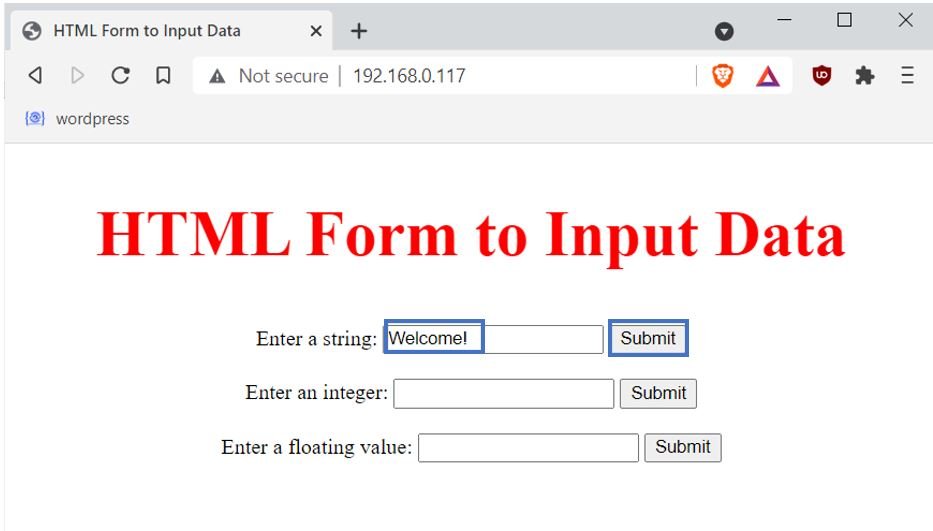 input data on HTML form web server Example1 pic2