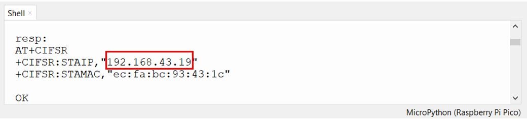 Raspberry Pi Pico Web Server shell terminal IP address