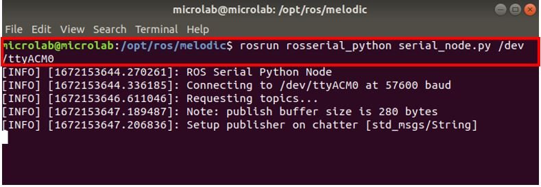 Launch ROS Serial Server in terminal