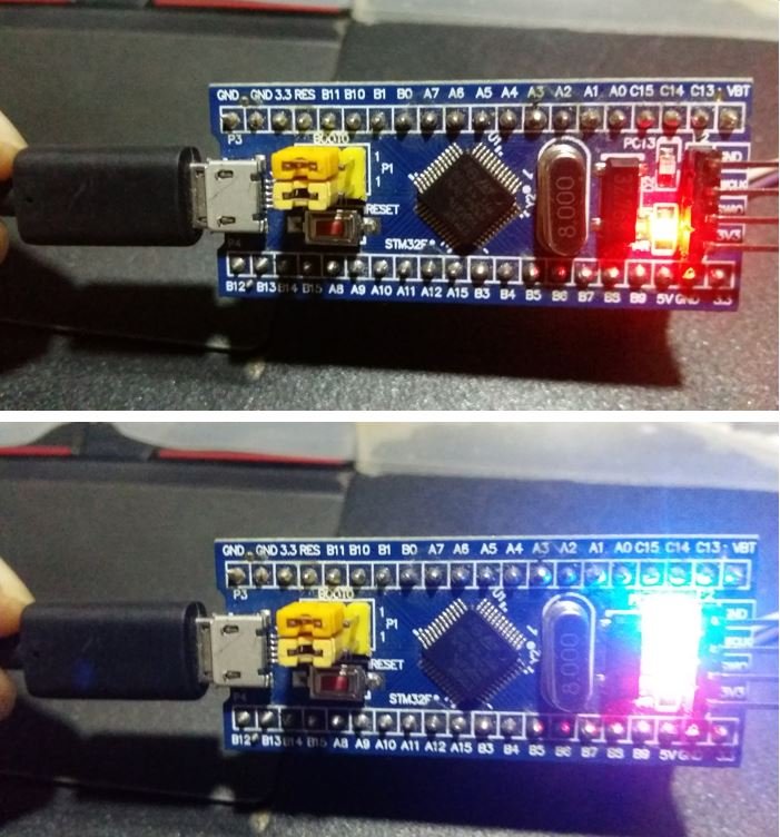 STM32 Blue Pill Program using USB Port LED Blink Demo