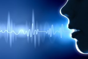 VOICE RECOGNITION SECURITY SYSTEM