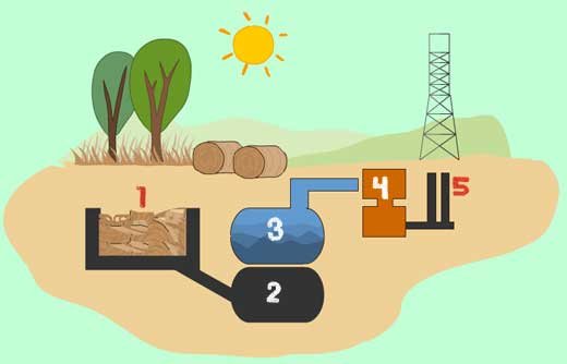 5 Biomass energy